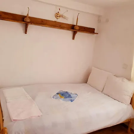 Вила ”Еделвайс” 山林小屋 Lyubovishte