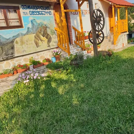 Вила ”Еделвайс” 山林小屋 *
